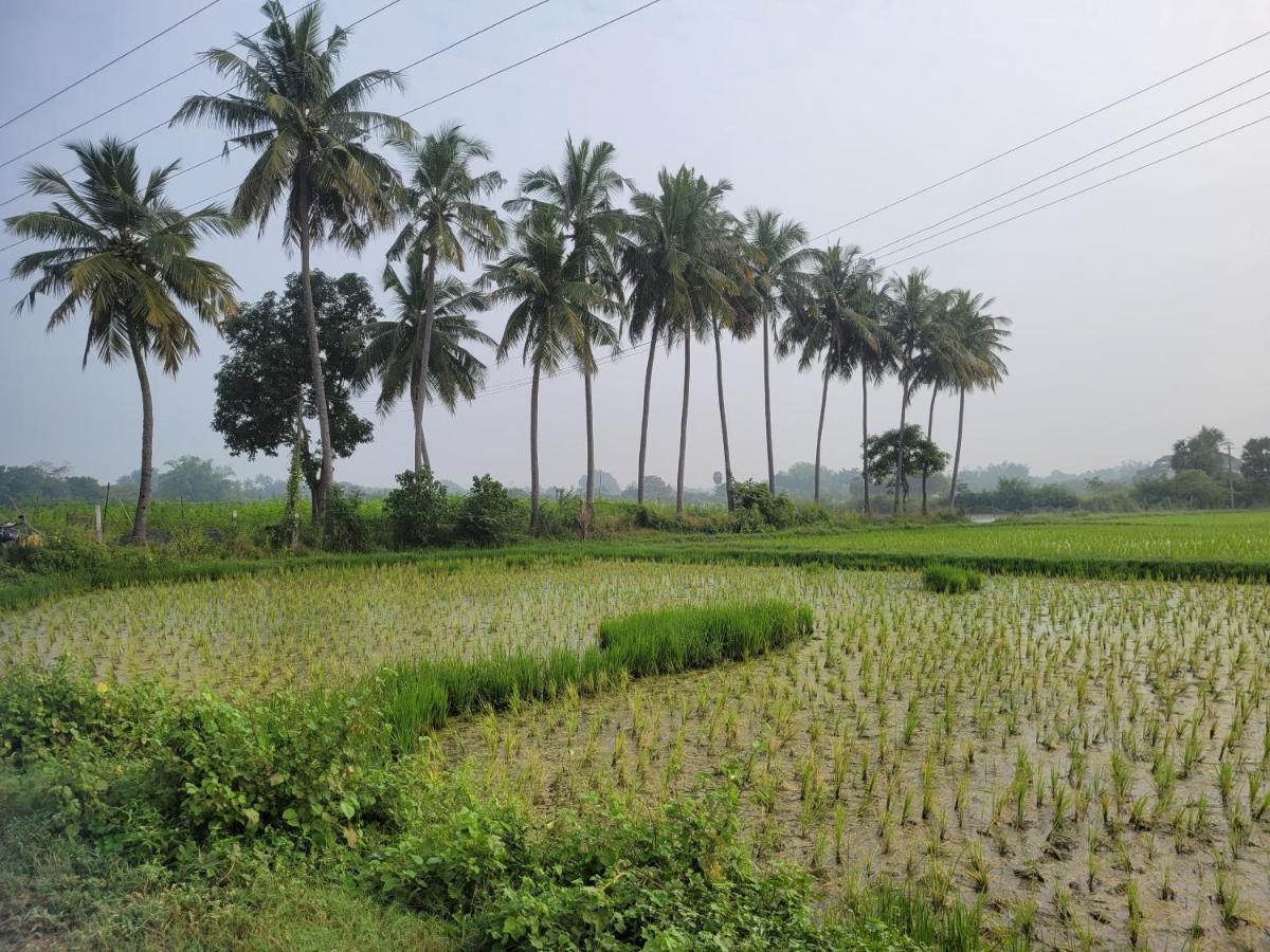 Tanjore Home Stay Thanjavur Luaran gambar